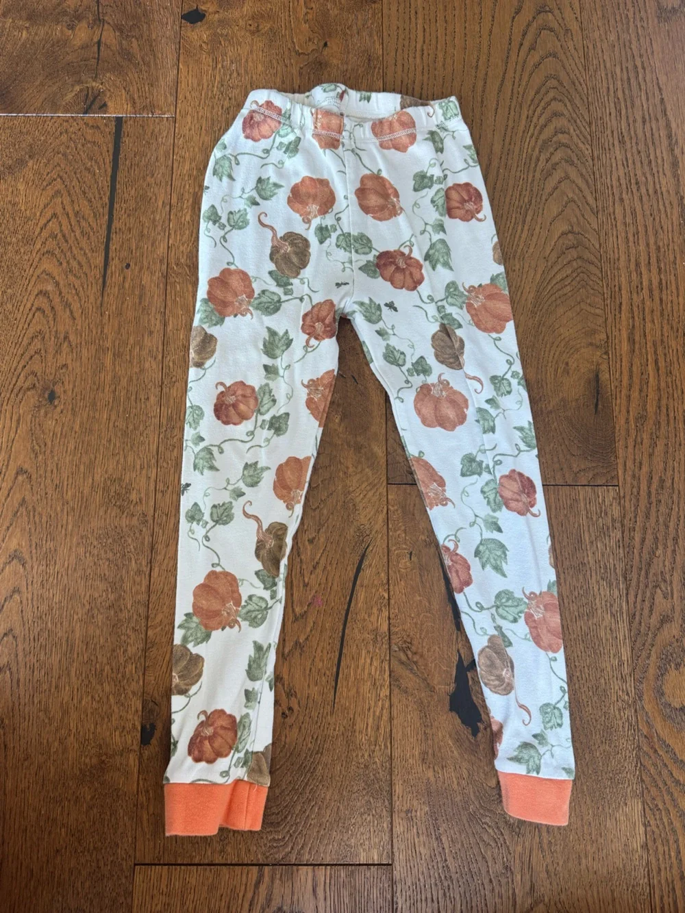 Burt’s Bees Organic Cotton Pumpkin Halloween Pajama Set Size 5